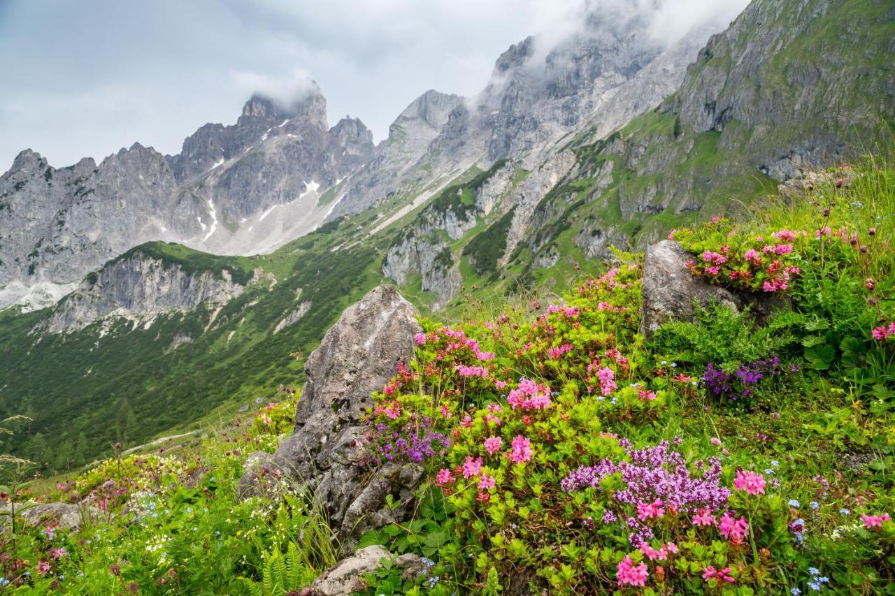 Gaestehaus Herrmann Filzmoos Dış mekan fotoğraf